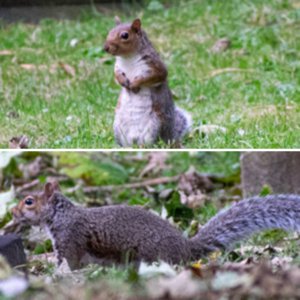 Nature and Wildlife Photography