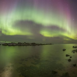 P3188735 (Custom).JPG