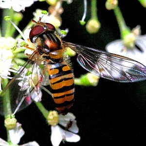 2jc7g3b_edited.JPG ,