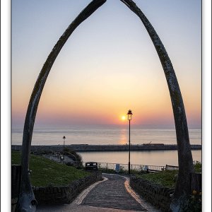 whalebones sunrise.jpg