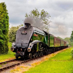 UNION OF SOUTH AFRICA - ELR