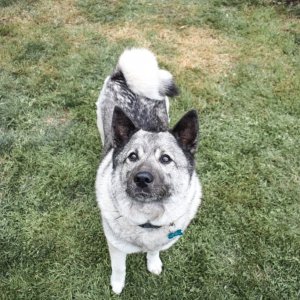 Taken on Nikon D5300 and edited in Lightroom Mobile