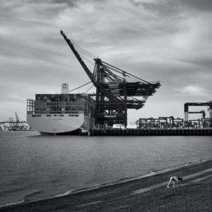 Felixstowe International Port