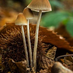 2018-11-05 23.26.10.jpg