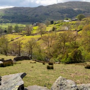 Media '20200501-EM530139.jpg' in category 'Landscapes'