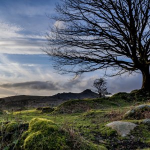 Media 'End of the day on Dartmoor' in category 'Landscapes'