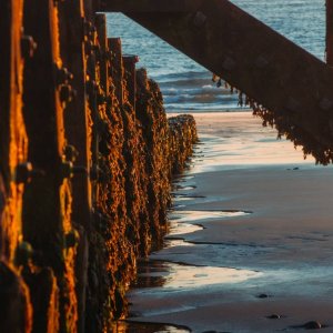 Cromer Beach at sunrise