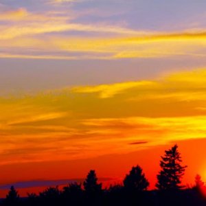 Open to reviews & suggestions