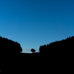 Landscapes Wroxton-04230.jpg