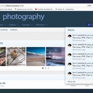 Dislikes by tarric.jpg