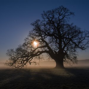 Winter Moon 1 copy.jpg