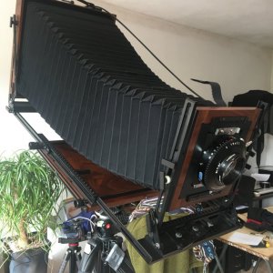 Media '7339BDAC-5A96-40AA-BD82-C8E27461406D.jpeg' in album 'Perso'