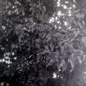 20210304_210958 (1).jpg