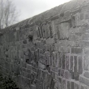 20210304_211034 (1).jpg