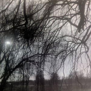 20210304_210745 (1).jpg