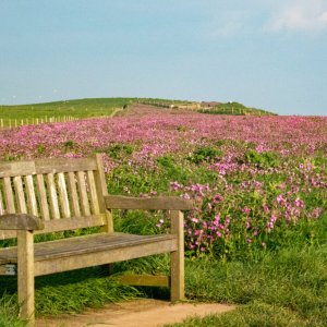 A place for quiet reflection