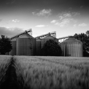 img064-Edit copy.jpg