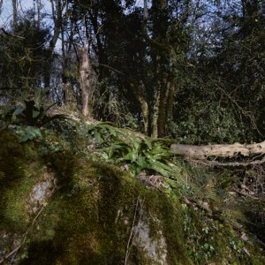 TP_1024_2508-2512_Panorama-1 1.jpg