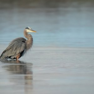 11142755-f studio-4.jpg