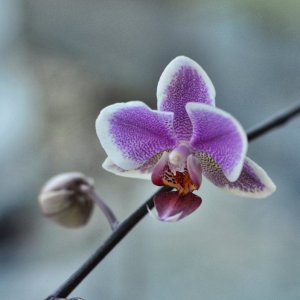 L EBEBBA75-A5AE-4EF1-B1B2-9ED06B551BD3.jpeg