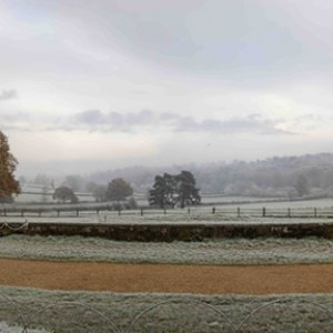 Scotney Castle Grounds 2022.jpg