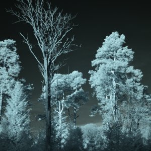 IR Picture Speech House 2.JPG