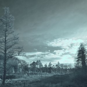 IR Picture Speech House 3.JPG