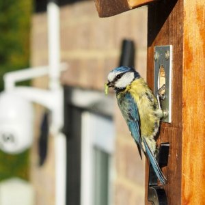 olympus em10 mark ii