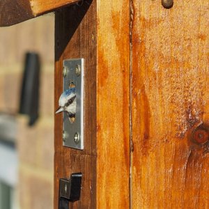 olympus em10 mark ii