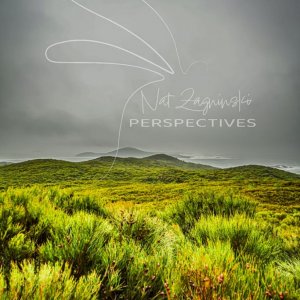 View From The Tomaree Coastal Walk To Fingal Island