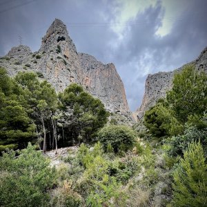 Playa Mascarat. Altea