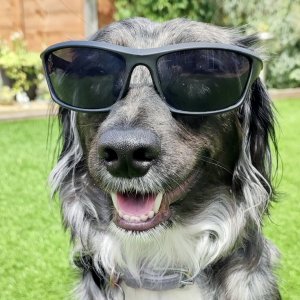 it's hip to be square