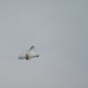 DSC04333-RIAT 2023-TP.jpg