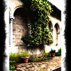 Cloisters.jpg