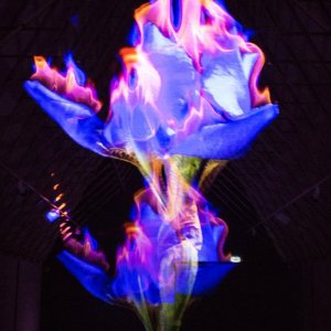 Bishop Auckland and Faith Museum (65).jpg