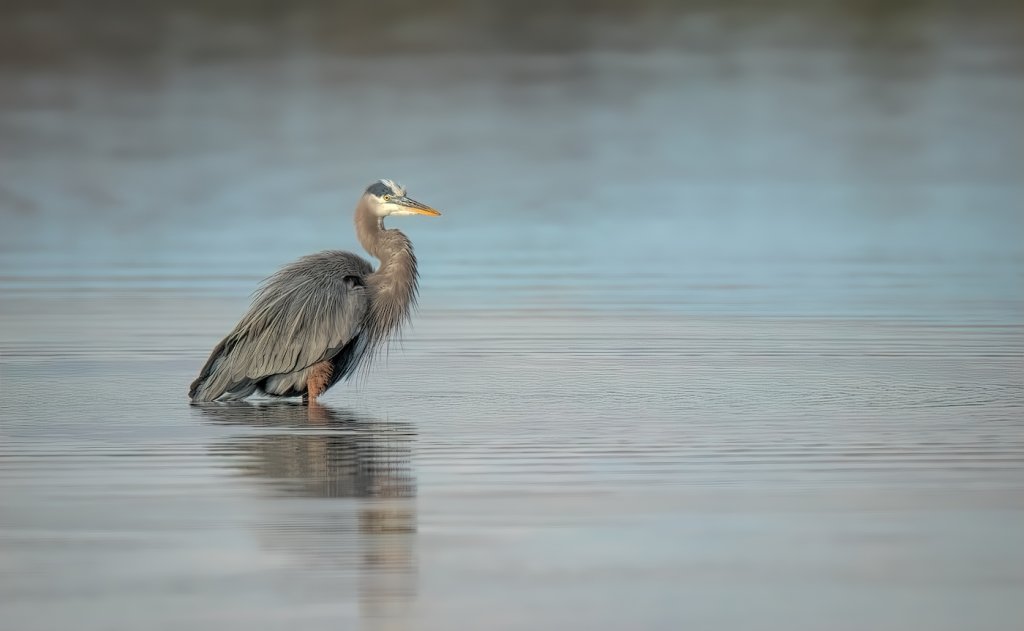 11142755-f studio-4.jpg