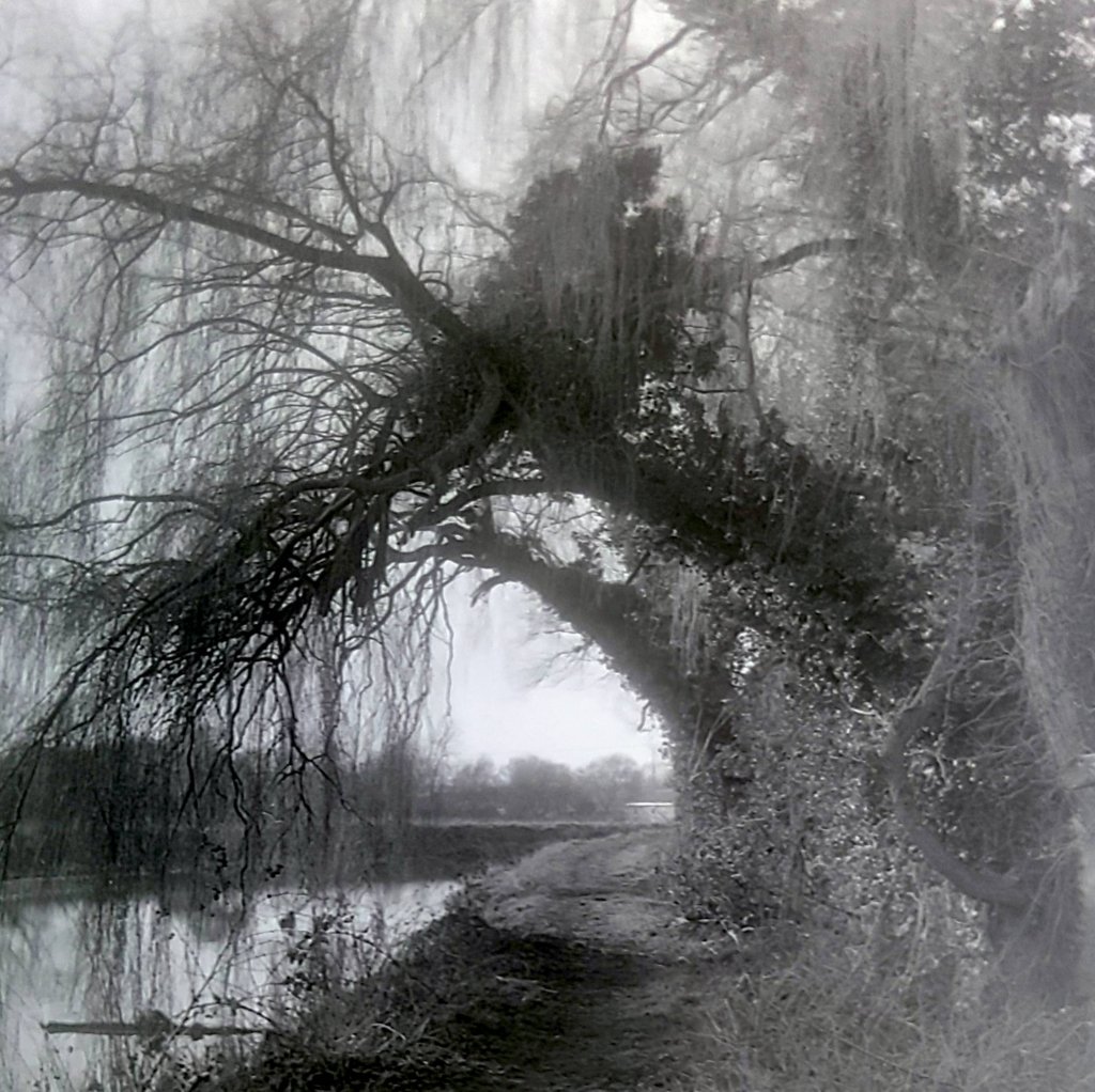 20210304_210527 (1).jpg