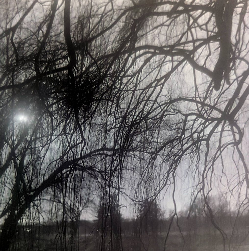 20210304_210745 (1).jpg