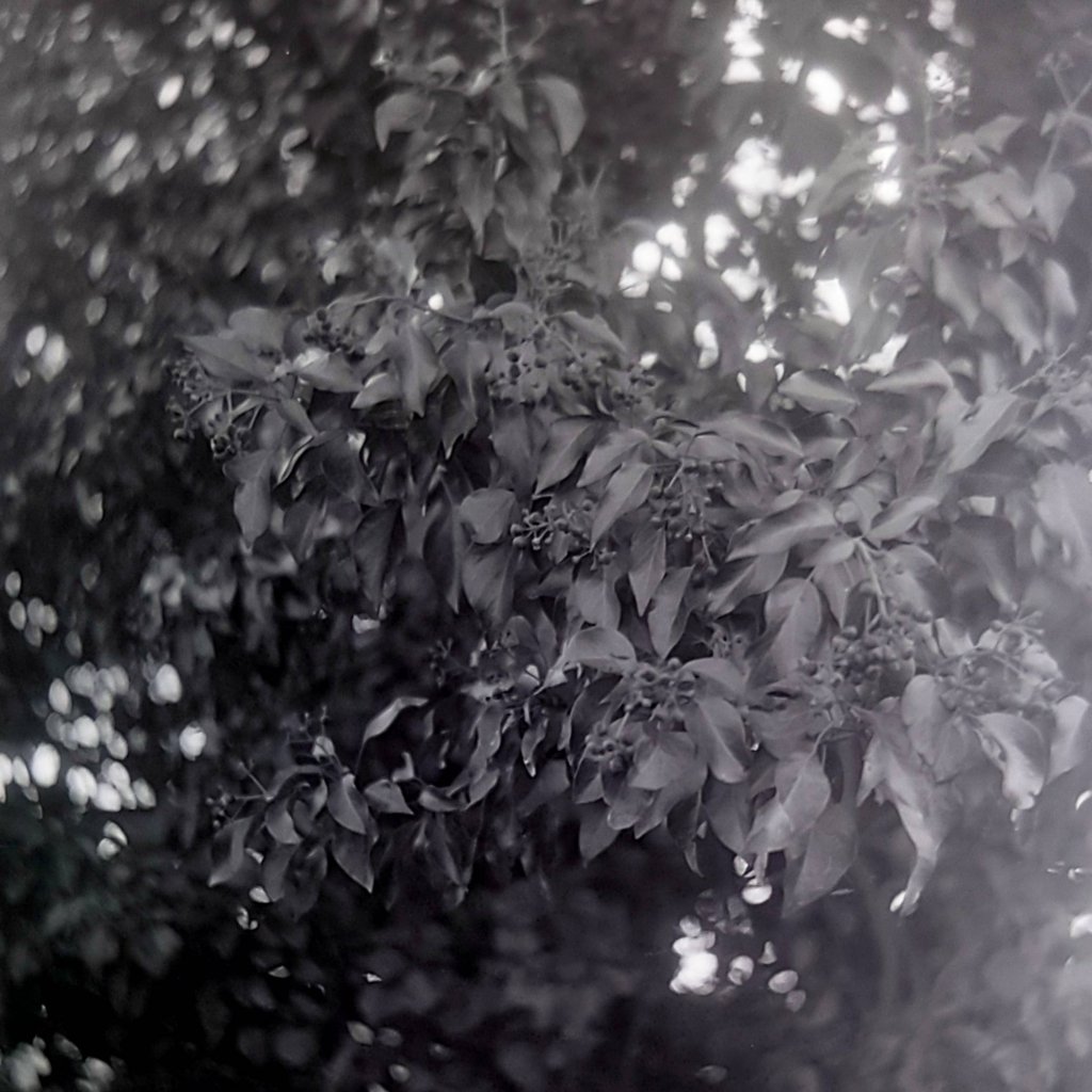 20210304_210958 (1).jpg