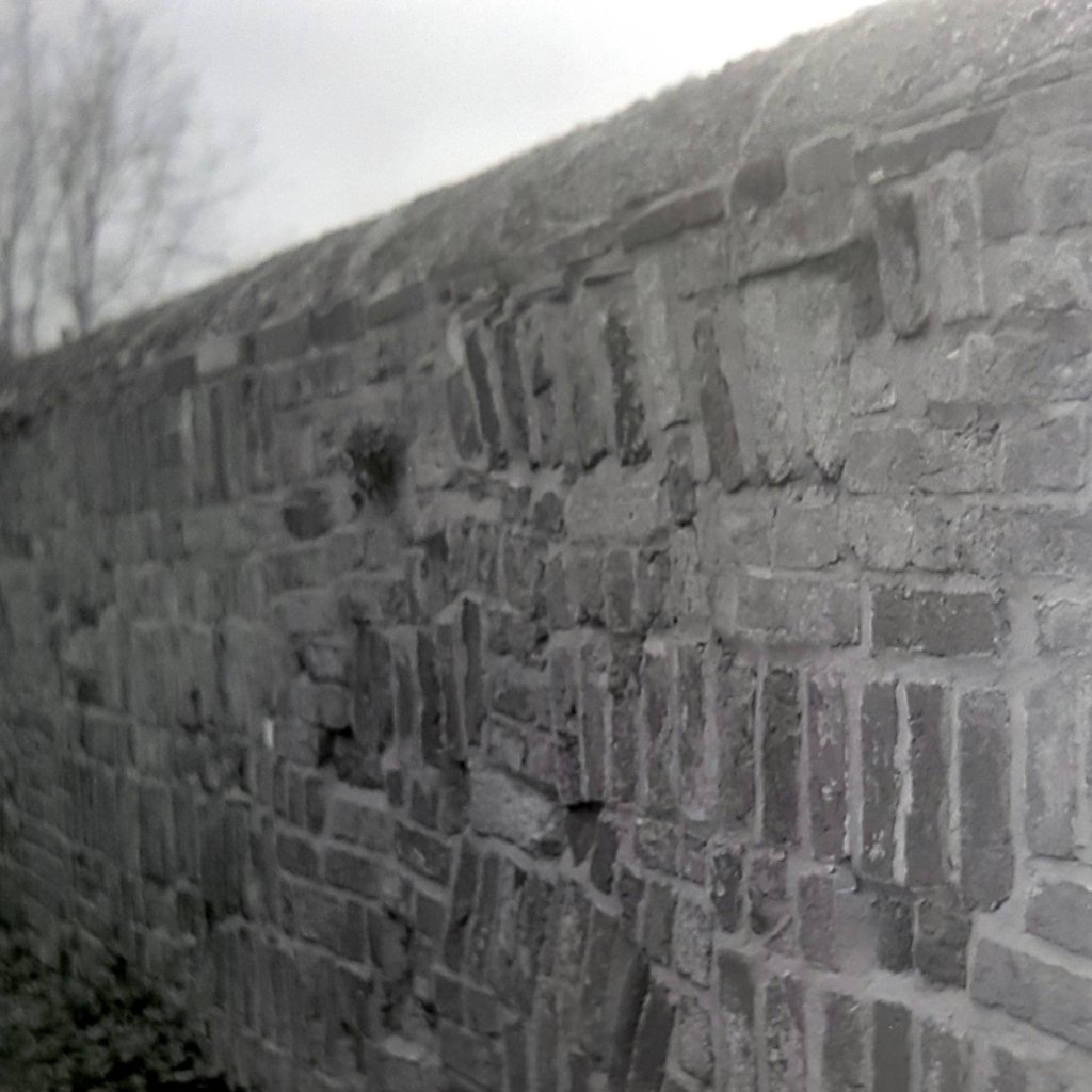 20210304_211034 (1).jpg