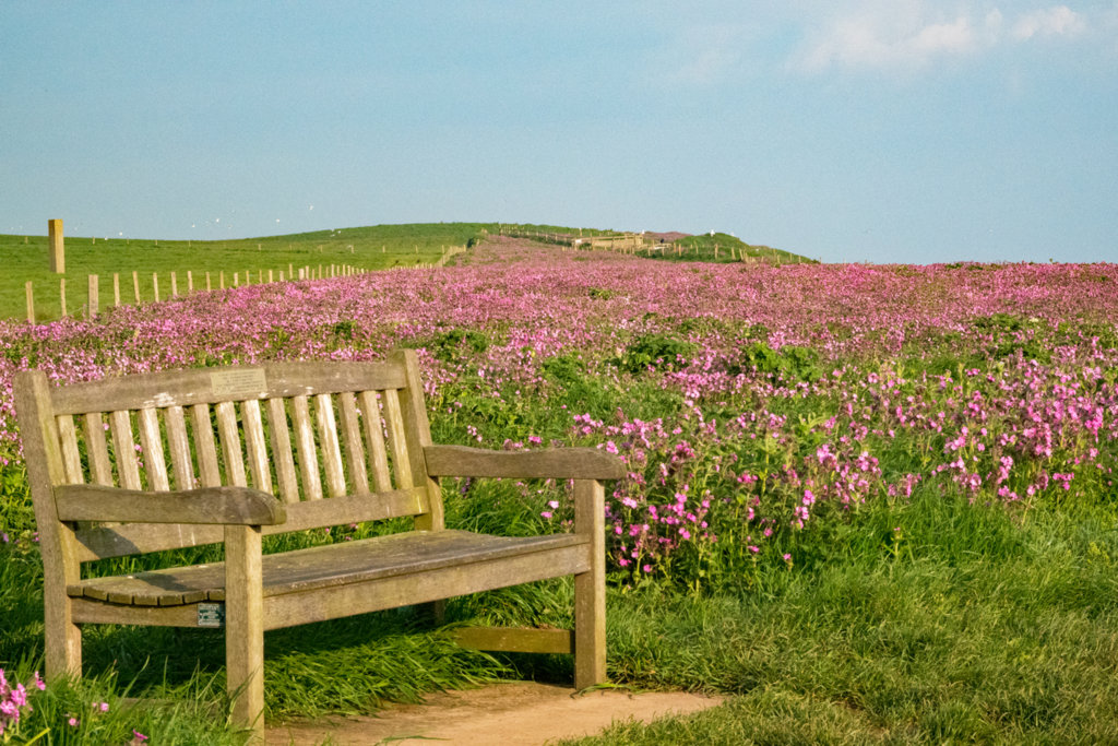 A place for quiet reflection