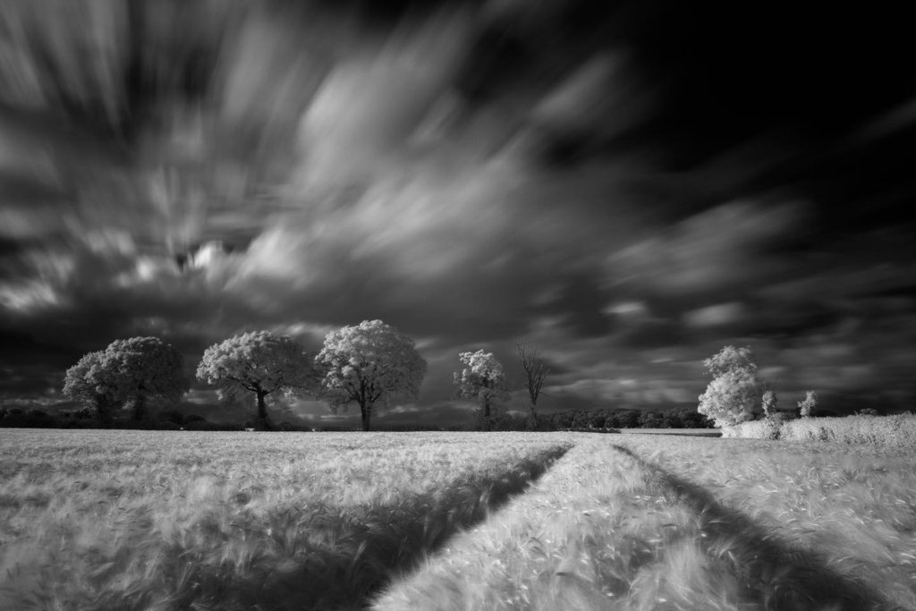A Stroll down the Lane