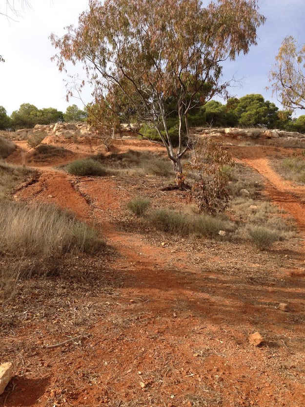 Carrascar de Fulla Roja