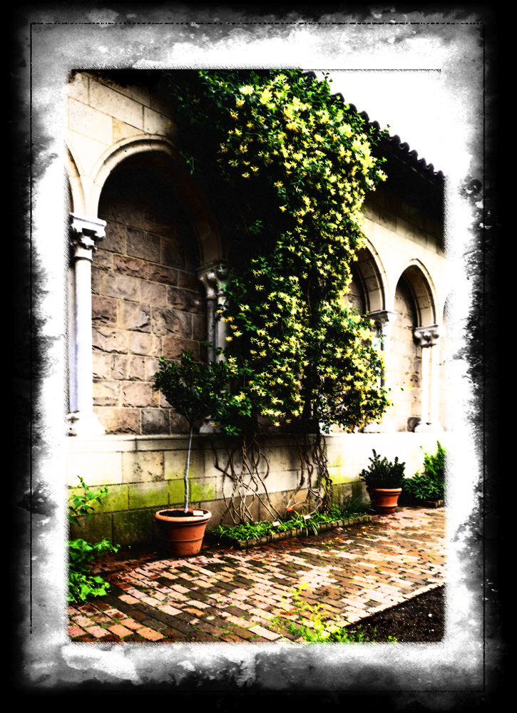 Cloisters.jpg