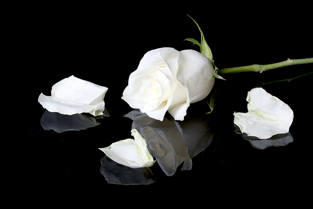 DF Tp52 Week 4 Discarded. jpg.jpg