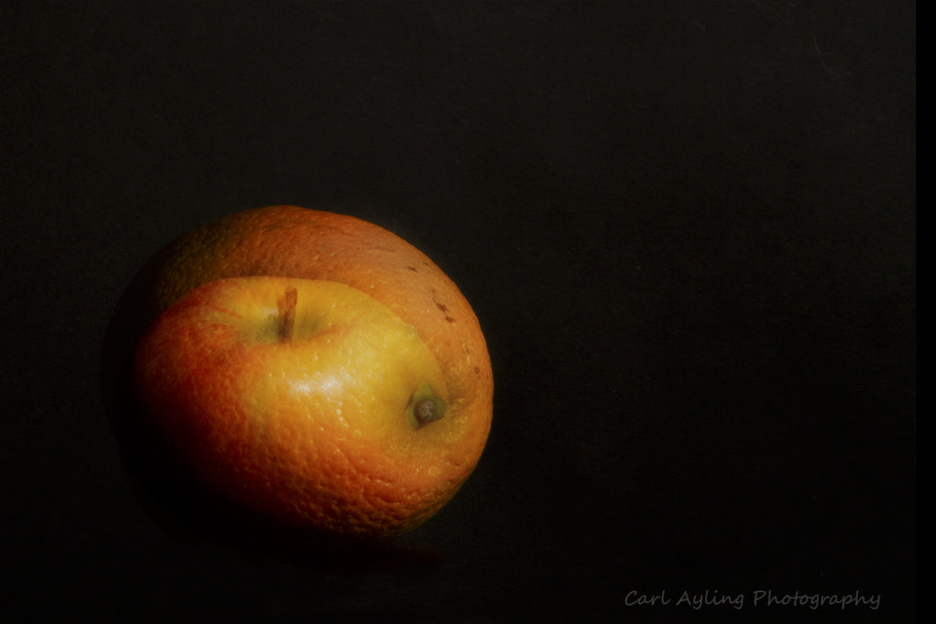 Genetically Modified