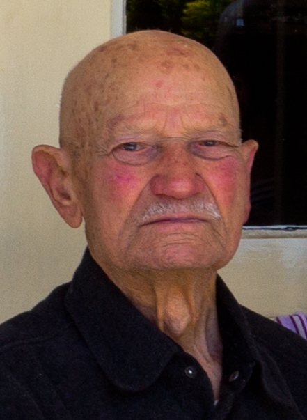 Giuseppe Torcasio: Portrait