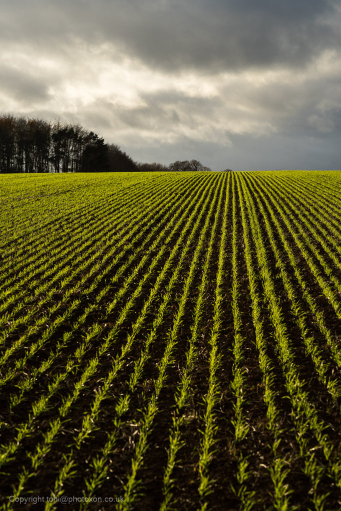 Landscapes Wroxton-04218.jpg