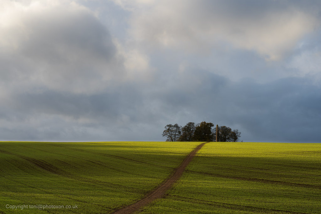 Landscapes Wroxton-04227.jpg