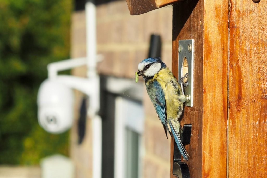 olympus em10 mark ii